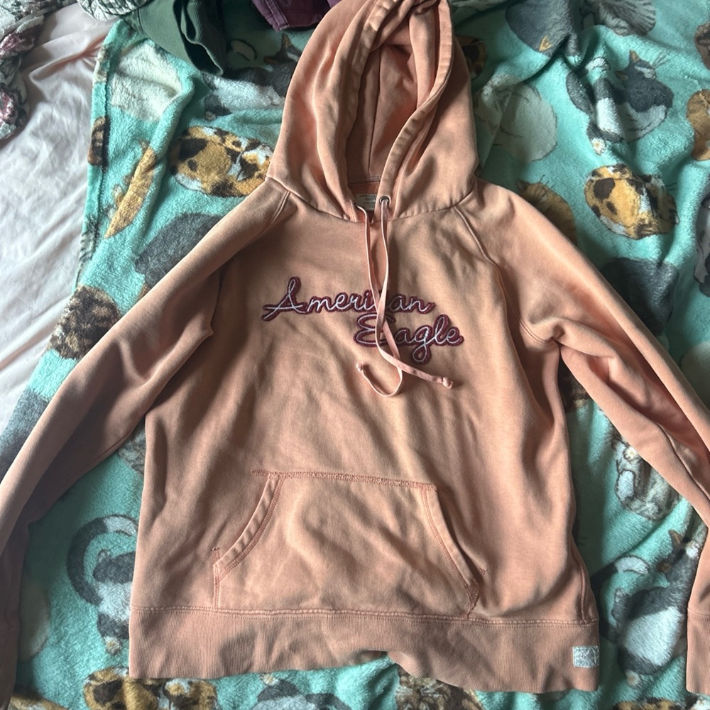 American Eagle Outfitters Women's Pink Hoodie Sweater
